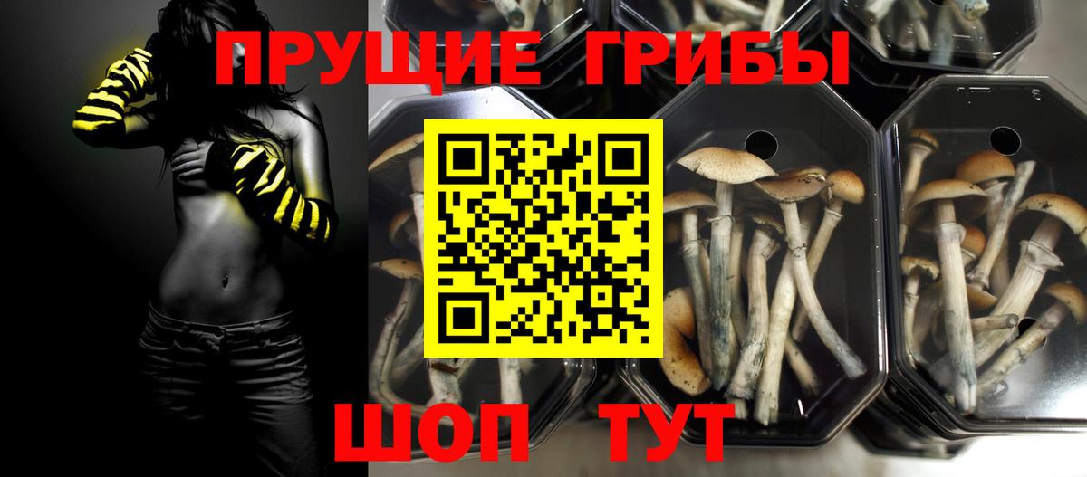 ГЕРОИН  А ПВП СОЛЬ кристаллы  Мефедрон   Гашиш  МЕТАДОН  Вход с VPN  Кировск  Бошки Шишки  КОКАИН 